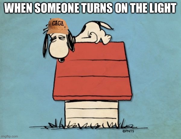 Snoopy bushed | WHEN SOMEONE TURNS ON THE LIGHT | image tagged in snoopy bushed,snoopy,peanuts | made w/ Imgflip meme maker