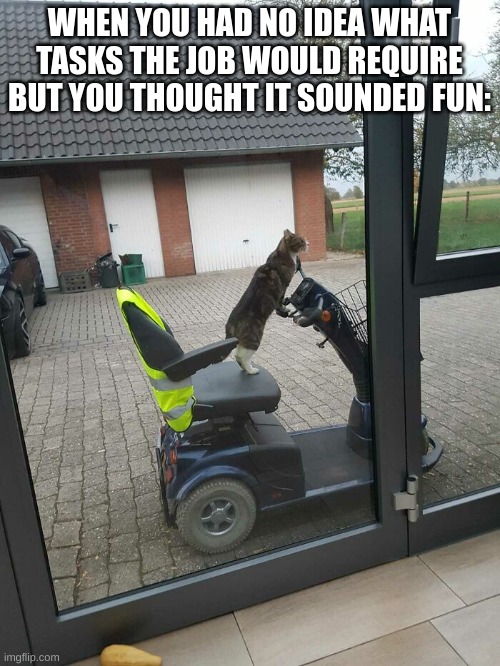 WHEN YOU HAD NO IDEA WHAT TASKS THE JOB WOULD REQUIRE BUT YOU THOUGHT IT SOUNDED FUN: | made w/ Imgflip meme maker