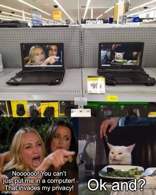 It’s beautiful. I’ve stared at this for several hours now. | Noooooo! You can’t just put me in a computer! That invades my privacy! Ok and? | image tagged in woman yelling at cat | made w/ Imgflip meme maker