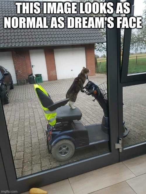 THIS IMAGE LOOKS AS NORMAL AS DREAM'S FACE | made w/ Imgflip meme maker