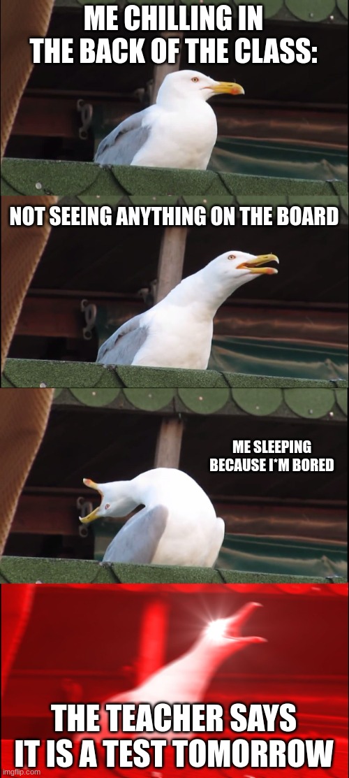 Inhaling Seagull Meme | ME CHILLING IN THE BACK OF THE CLASS:; NOT SEEING ANYTHING ON THE BOARD; ME SLEEPING BECAUSE I*M BORED; THE TEACHER SAYS IT IS A TEST TOMORROW | image tagged in memes,inhaling seagull | made w/ Imgflip meme maker