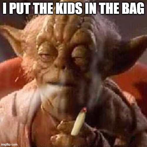 e | I PUT THE KIDS IN THE BAG | image tagged in yoda stoned | made w/ Imgflip meme maker