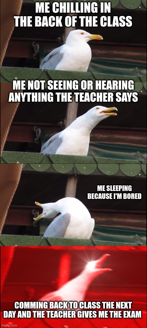 Inhaling Seagull | ME CHILLING IN THE BACK OF THE CLASS; ME NOT SEEING OR HEARING ANYTHING THE TEACHER SAYS; ME SLEEPING BECAUSE I'M BORED; COMMING BACK TO CLASS THE NEXT DAY AND THE TEACHER GIVES ME THE EXAM | image tagged in memes,inhaling seagull | made w/ Imgflip meme maker