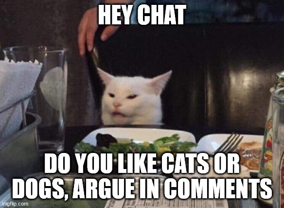 Salad cat | HEY CHAT; DO YOU LIKE CATS OR DOGS, ARGUE IN COMMENTS | image tagged in salad cat | made w/ Imgflip meme maker