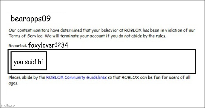 Banned from ROBLOX [2008 Interface Edition] | bearapps09 foxylover1234 you said hi | image tagged in banned from roblox 2008 interface edition | made w/ Imgflip meme maker