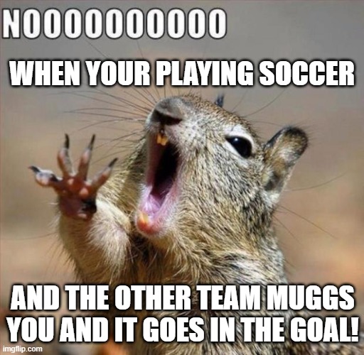 soccer | WHEN YOUR PLAYING SOCCER; AND THE OTHER TEAM MUGGS YOU AND IT GOES IN THE GOAL! | image tagged in noooooooooooooooooooooooo | made w/ Imgflip meme maker