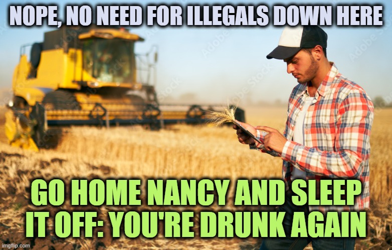 NOPE, NO NEED FOR ILLEGALS DOWN HERE GO HOME NANCY AND SLEEP IT OFF: YOU'RE DRUNK AGAIN | made w/ Imgflip meme maker