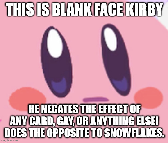 Blank Kirby Face | THIS IS BLANK FACE KIRBY; HE NEGATES THE EFFECT OF ANY CARD, GAY, OR ANYTHING ELSE! DOES THE OPPOSITE TO SNOWFLAKES. | image tagged in blank kirby face | made w/ Imgflip meme maker