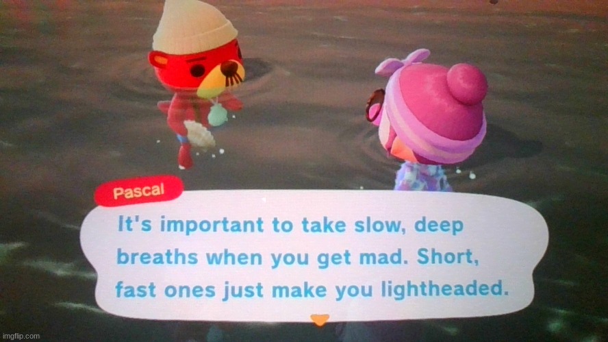 yes | made w/ Imgflip meme maker