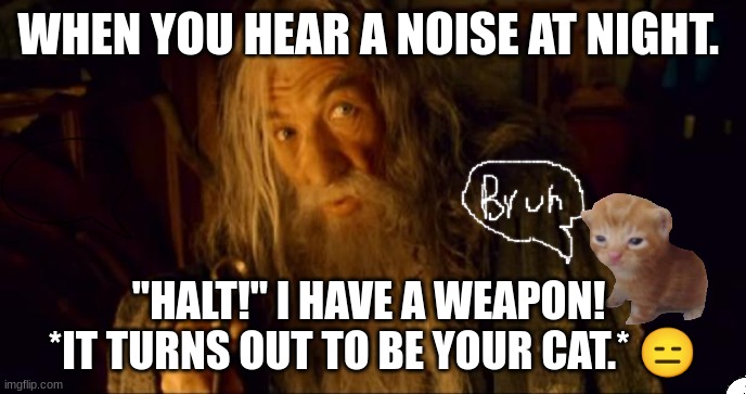 when you mysteriously hear a noise at night. | WHEN YOU HEAR A NOISE AT NIGHT. "HALT!" I HAVE A WEAPON! 
*IT TURNS OUT TO BE YOUR CAT.* 😑 | image tagged in advertising gandalf | made w/ Imgflip meme maker