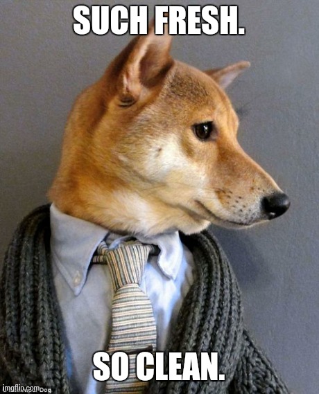 SUCH FRESH. SO CLEAN. | image tagged in doge suit | made w/ Imgflip meme maker