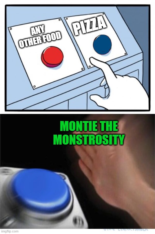 Montie luvs pizza | PIZZA; ANY OTHER FOOD; MONTIE THE MONSTROSITY | image tagged in two buttons 1 blue,pizza | made w/ Imgflip meme maker