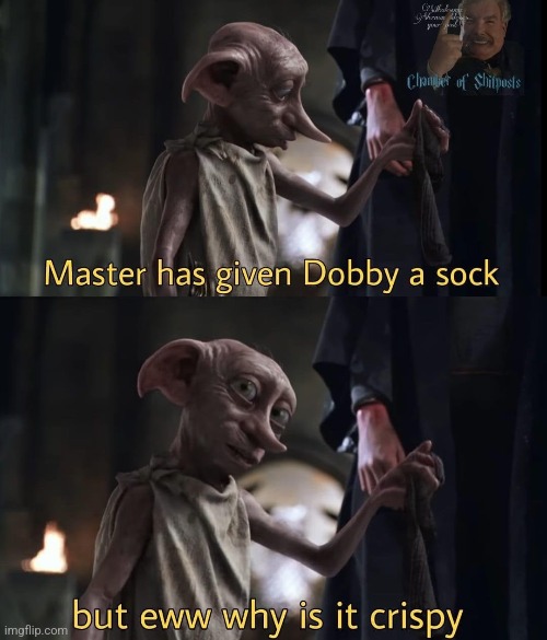 image tagged in harry potter,dobby,socks,bro,sus,stop reading these tags | made w/ Imgflip meme maker