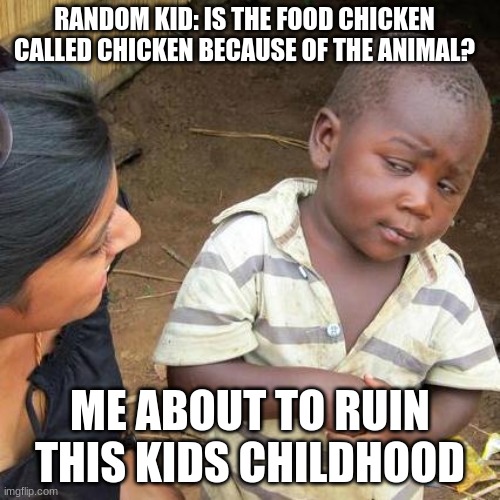 memes that make me cry 21 | RANDOM KID: IS THE FOOD CHICKEN CALLED CHICKEN BECAUSE OF THE ANIMAL? ME ABOUT TO RUIN THIS KIDS CHILDHOOD | image tagged in memes,third world skeptical kid | made w/ Imgflip meme maker