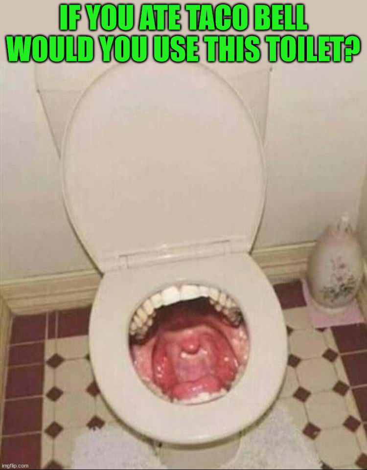 IF YOU ATE TACO BELL WOULD YOU USE THIS TOILET? | image tagged in cursed image | made w/ Imgflip meme maker