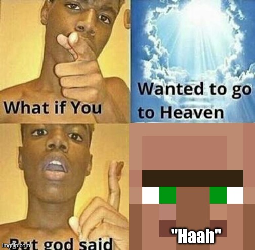 Image Title | "Haah" | image tagged in what if you wanted to go to heaven | made w/ Imgflip meme maker