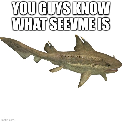 Hybodus | YOU GUYS KNOW WHAT SEEVME IS | image tagged in hybodus | made w/ Imgflip meme maker