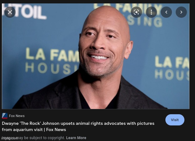 They don't know that he has the ability to obliterate them with a mere eyebrow raise | image tagged in the rock,aquarium | made w/ Imgflip meme maker