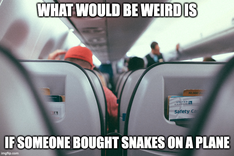 Middle Airplane Seat | WHAT WOULD BE WEIRD IS; IF SOMEONE BOUGHT SNAKES ON A PLANE | image tagged in airplane,memes | made w/ Imgflip meme maker