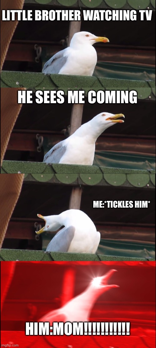 Little brothers are annoying | LITTLE BROTHER WATCHING TV; HE SEES ME COMING; ME:*TICKLES HIM*; HIM:MOM!!!!!!!!!!! | image tagged in memes,inhaling seagull | made w/ Imgflip meme maker