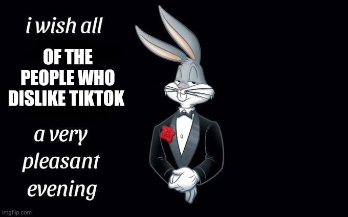 Relatable}¿♧◇♡ | OF THE PEOPLE WHO DISLIKE TIKTOK | image tagged in i wish all the x a very pleasant evening | made w/ Imgflip meme maker