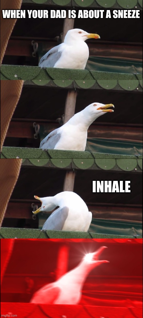 Inhaling Seagull | WHEN YOUR DAD IS ABOUT A SNEEZE; INHALE | image tagged in memes,inhaling seagull | made w/ Imgflip meme maker