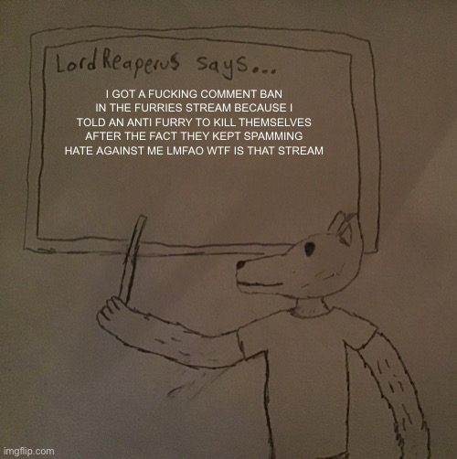 What kind of logic is that?! | I GOT A FUCKING COMMENT BAN IN THE FURRIES STREAM BECAUSE I TOLD AN ANTI FURRY TO KILL THEMSELVES AFTER THE FACT THEY KEPT SPAMMING HATE AGAINST ME LMFAO WTF IS THAT STREAM | image tagged in lordreaperus says | made w/ Imgflip meme maker
