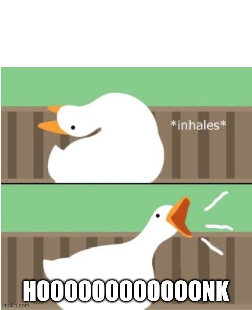 Untitled goose game honk | HOOOOOOOOOOOONK | image tagged in untitled goose game honk | made w/ Imgflip meme maker