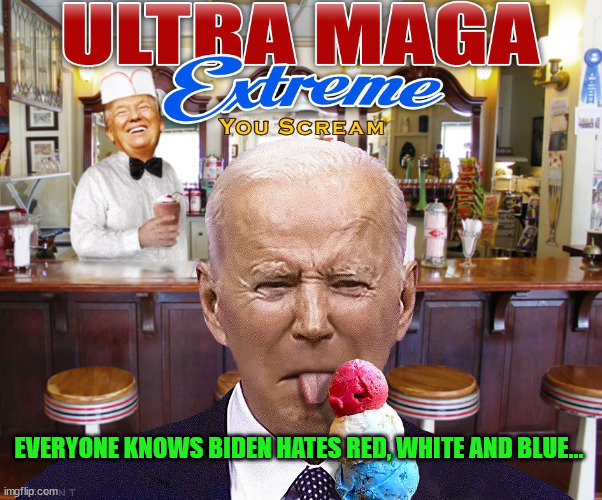 Biden hates America... | EVERYONE KNOWS BIDEN HATES RED, WHITE AND BLUE... | image tagged in dementia,joe biden | made w/ Imgflip meme maker