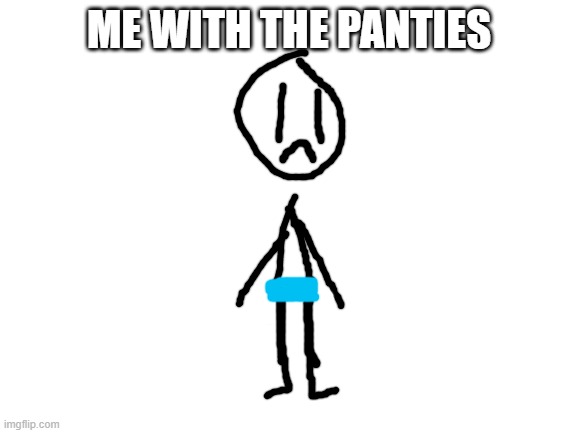 i dont suport | ME WITH THE PANTIES | image tagged in blank white template | made w/ Imgflip meme maker