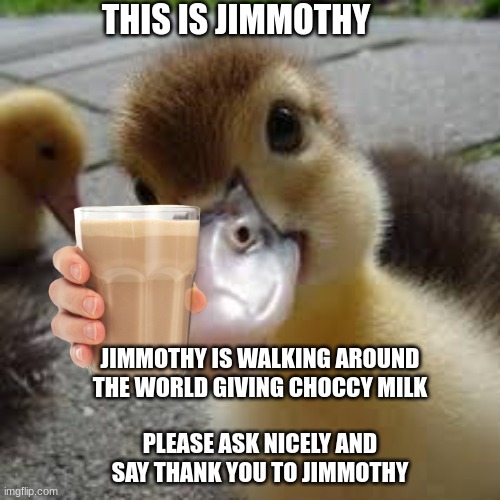 Jimmothy The World Saver Has Now Arrived To Imgflip | THIS IS JIMMOTHY; JIMMOTHY IS WALKING AROUND THE WORLD GIVING CHOCCY MILK; PLEASE ASK NICELY AND SAY THANK YOU TO JIMMOTHY | image tagged in duck,have some choccy milk | made w/ Imgflip meme maker
