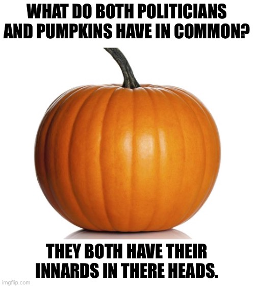 Of Politicians And Pumpkins | WHAT DO BOTH POLITICIANS AND PUMPKINS HAVE IN COMMON? THEY BOTH HAVE THEIR INNARDS IN THERE HEADS. | image tagged in pumpkin,memes,halloween,halloween is coming,bad jokes,political humor | made w/ Imgflip meme maker