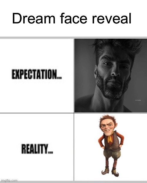 Dream Stans be like |  Dream face reveal | image tagged in expectation vs reality,dream,face reveal | made w/ Imgflip meme maker
