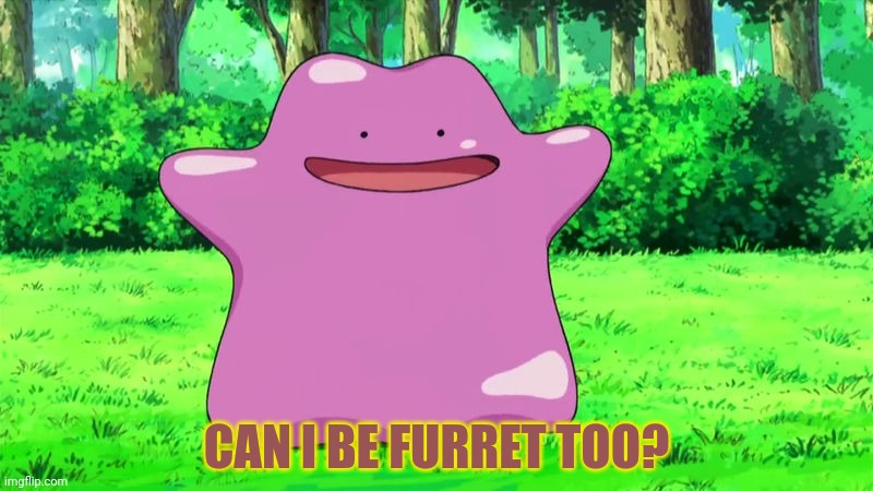 ditto | CAN I BE FURRET TOO? | image tagged in ditto | made w/ Imgflip meme maker