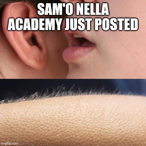 FINALLY | SAM'O NELLA ACADEMY JUST POSTED | image tagged in whisper and goosebumps,youtube | made w/ Imgflip meme maker