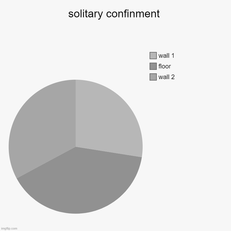 solitary confinment | solitary confinment | wall 2, floor, wall 1 | image tagged in charts,pie charts | made w/ Imgflip chart maker