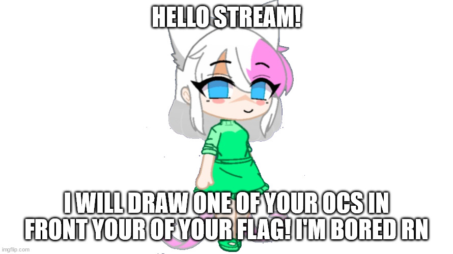 trainer sylceon | HELLO STREAM! I WILL DRAW ONE OF YOUR OCS IN FRONT YOUR OF YOUR FLAG! I'M BORED RN | image tagged in trainer sylceon | made w/ Imgflip meme maker