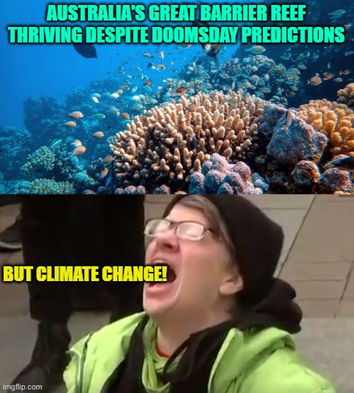 One wonders if ANY leftist prediction will EVER turn out to be true. | AUSTRALIA'S GREAT BARRIER REEF THRIVING DESPITE DOOMSDAY PREDICTIONS; BUT CLIMATE CHANGE! | image tagged in climate change | made w/ Imgflip meme maker