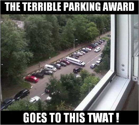 Why Would You Do That ? | THE TERRIBLE PARKING AWARD; GOES TO THIS TWAT ! | image tagged in bad parking,award | made w/ Imgflip meme maker