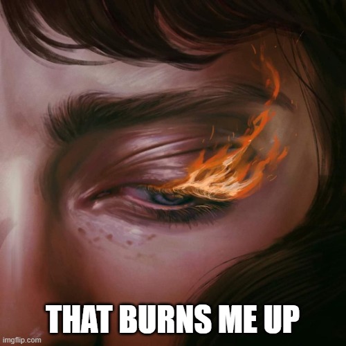 burns eyes | THAT BURNS ME UP | image tagged in burns eyes | made w/ Imgflip meme maker
