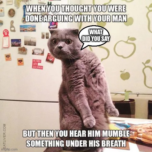 WHAT DID HE SAY?? |  WHAT DID YOU SAY | image tagged in very funny,good | made w/ Imgflip meme maker