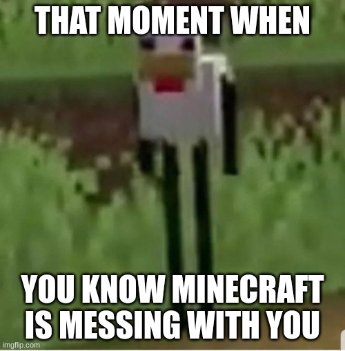 Cursed Minecraft chicken | THAT MOMENT WHEN; YOU KNOW MINECRAFT IS MESSING WITH YOU | image tagged in cursed minecraft chicken | made w/ Imgflip meme maker