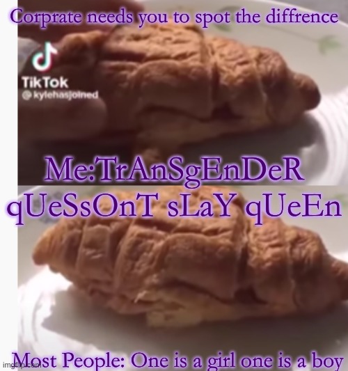 Quessont | Corprate needs you to spot the diffrence; Me:TrAnSgEnDeR qUeSsOnT sLaY qUeEn; Most People: One is a girl one is a boy | image tagged in hehehe | made w/ Imgflip meme maker