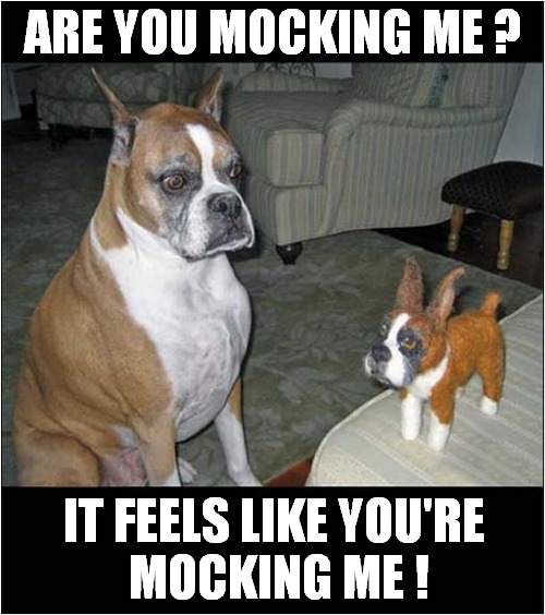 Dog Suspicious Of New Toy ! | ARE YOU MOCKING ME ? IT FEELS LIKE YOU'RE
 MOCKING ME ! | image tagged in dogs,suspicious,toy,mocking | made w/ Imgflip meme maker