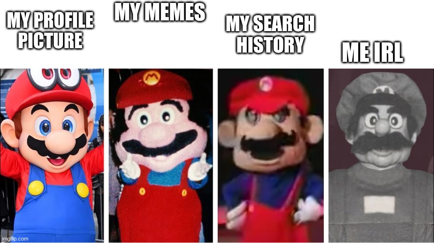 Mario becomes uncanny | MY PROFILE PICTURE; MY MEMES; ME IRL; MY SEARCH HISTORY | image tagged in mario,uncanny | made w/ Imgflip meme maker