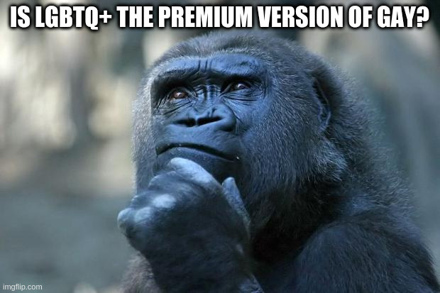 hmmmmmmm | IS LGBTQ+ THE PREMIUM VERSION OF GAY? | image tagged in deep thoughts,gay | made w/ Imgflip meme maker