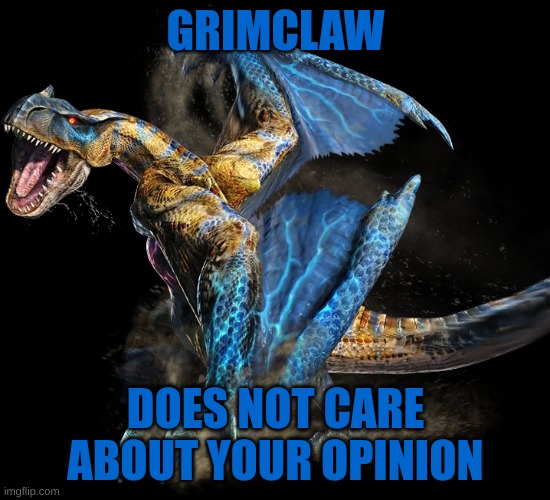 Grimclaw does not care. | GRIMCLAW; DOES NOT CARE ABOUT YOUR OPINION | image tagged in monster hunter | made w/ Imgflip meme maker