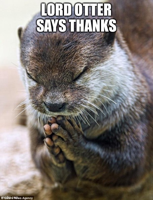 Thank you Lord Otter | LORD OTTER SAYS THANKS | image tagged in thank you lord otter | made w/ Imgflip meme maker