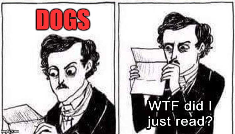 wtf did I just read | DOGS | image tagged in wtf did i just read | made w/ Imgflip meme maker