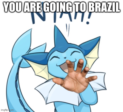 your going to brazil vaporeon | YOU ARE GOING TO BRAZIL | image tagged in your going to brazil vaporeon | made w/ Imgflip meme maker